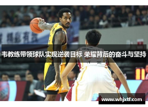 韦教练带领球队实现逆袭目标 荣耀背后的奋斗与坚持