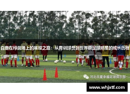 白鹿在绿茵场上的璀璨之路：从青训球员到世界级足球明星的成长历程