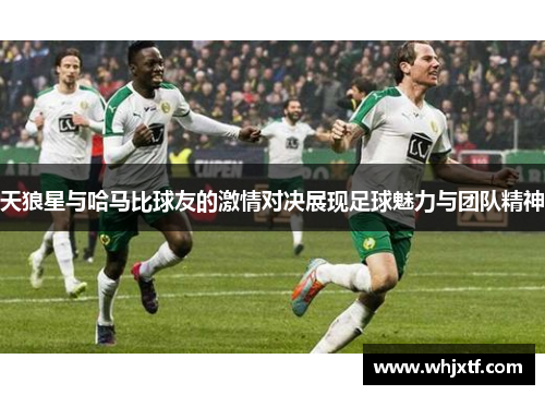 天狼星与哈马比球友的激情对决展现足球魅力与团队精神