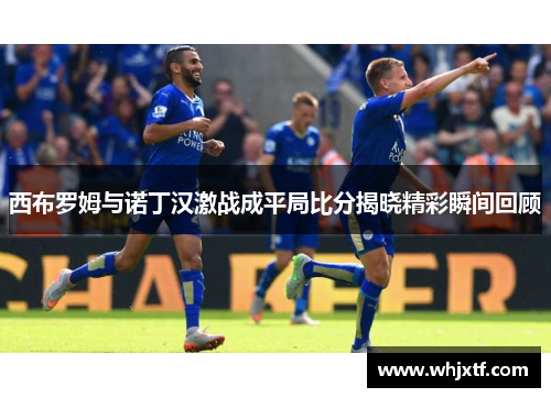 西布罗姆与诺丁汉激战成平局比分揭晓精彩瞬间回顾